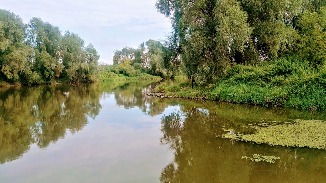 Jest oferta na budowę trasy turystycznej nad Odrą