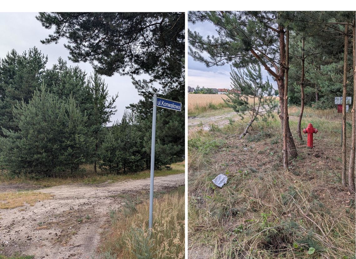 Jest reakcja - hydrant już widoczny