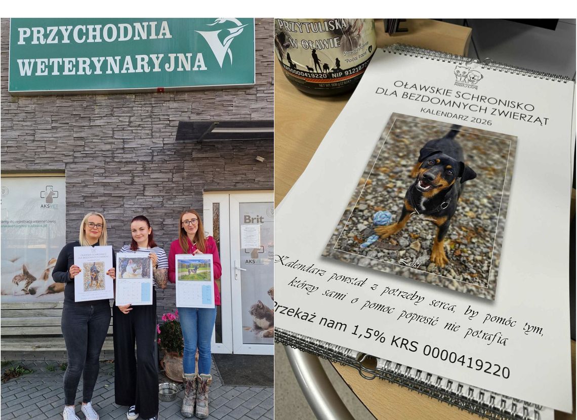 Już jest kalendarz z bezdomniakami Już jest kalendarz z bezdomniakami