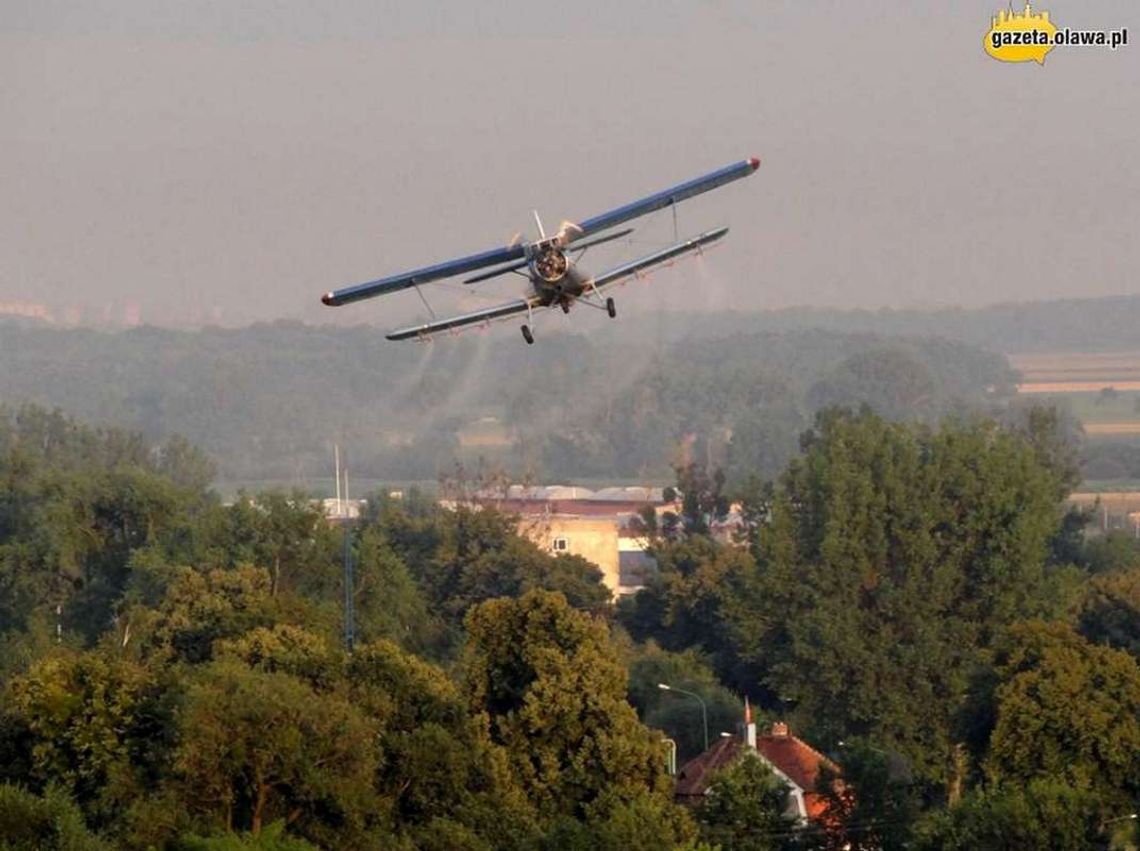 Już po odkomarzaniu Już po odkomarzaniu