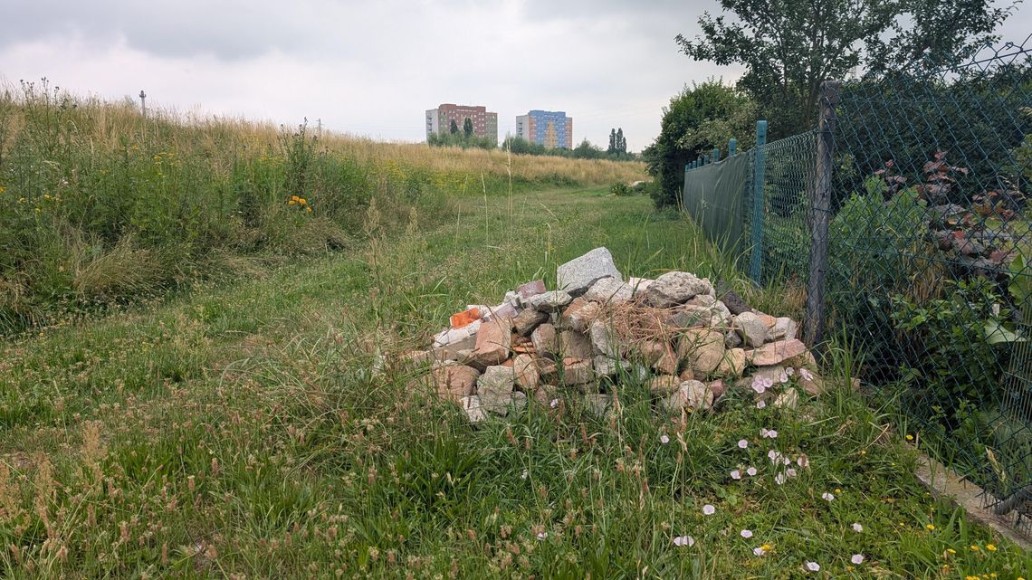 Kamieni kupa, czyli... pomnik powodzi Kamieni kupa, czyli... pomnik powodzi