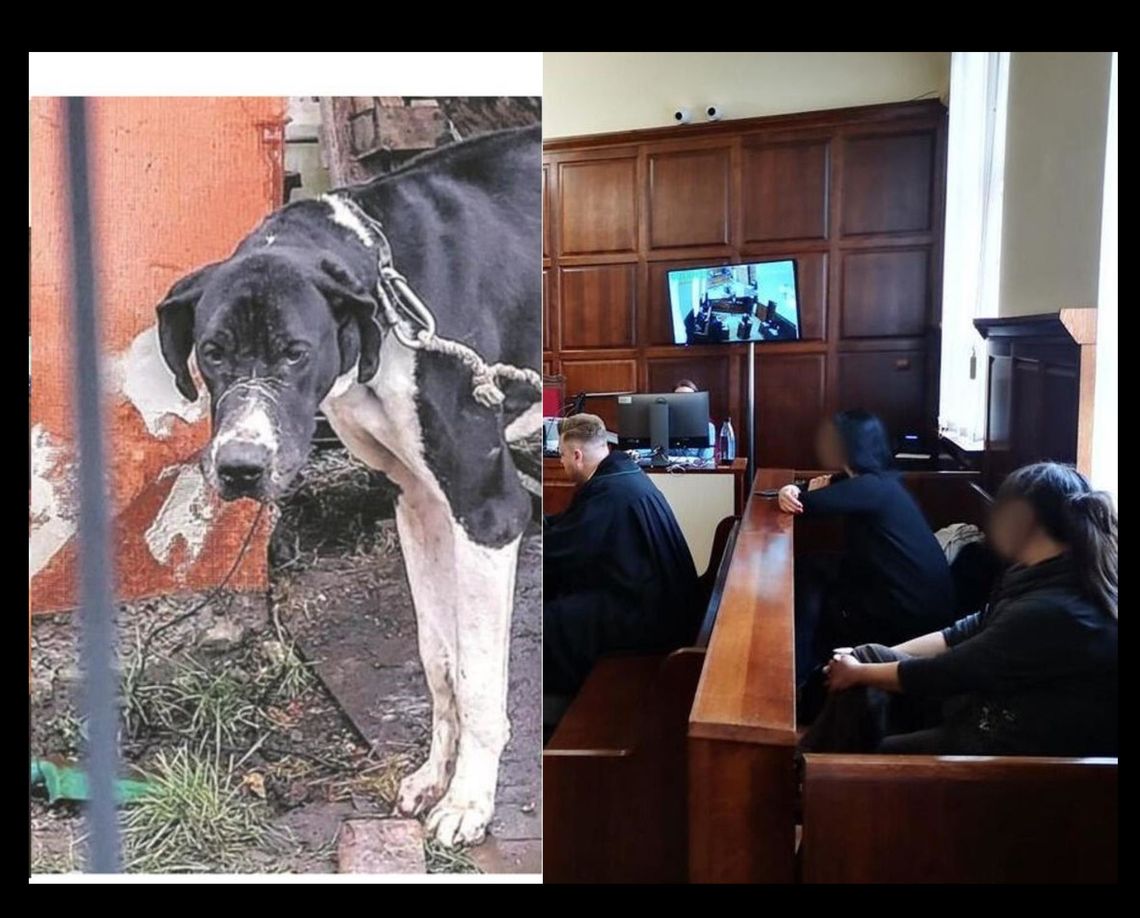 Jest wyrok - Karolina P. skazana Jest wyrok - Karolina P. skazana