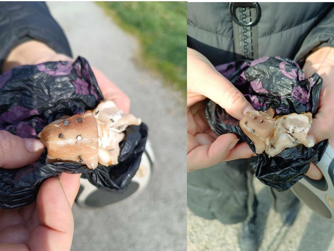 Kiałbasa ze... szpilkami?! Po co? Z nienawiści do zwierząt?