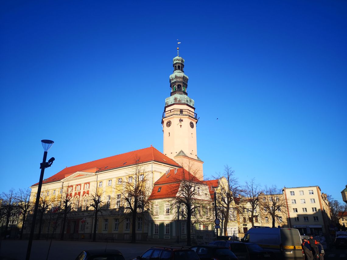 Kiedy pracują komisje Rady Miejskiej w marcu