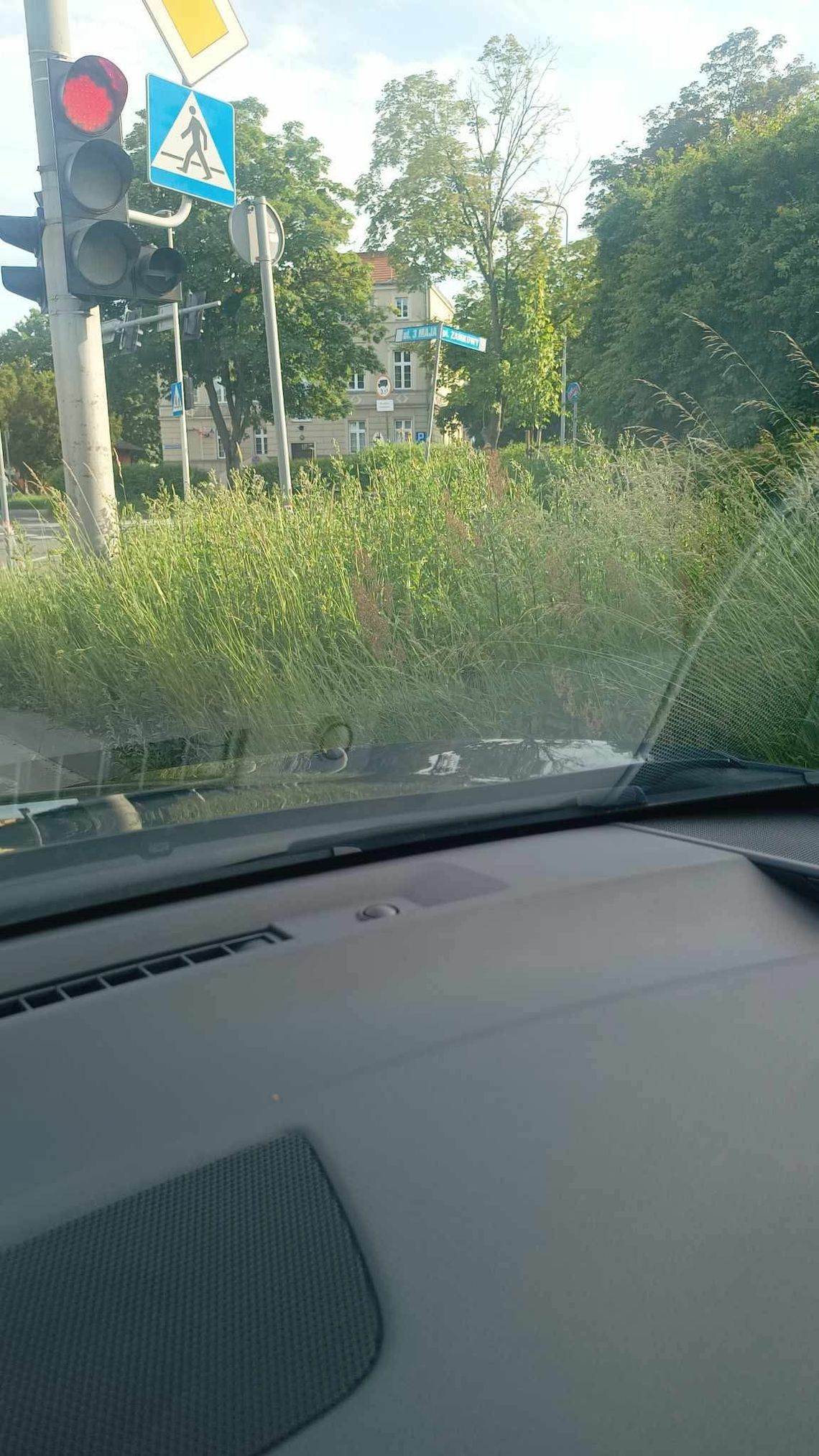 Kiedy skoszą trawy przy drogach? Mieszkańcy pomogą, jeżeli też będą pisać skargi Kiedy skoszą trawy przy drogach? Mieszkańcy pomogą, jeżeli też będą pisać skargi