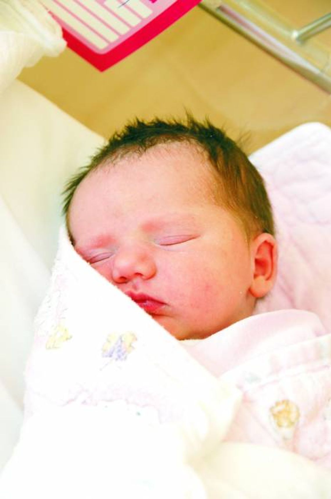 Klaudia Musz Klaudia Musz