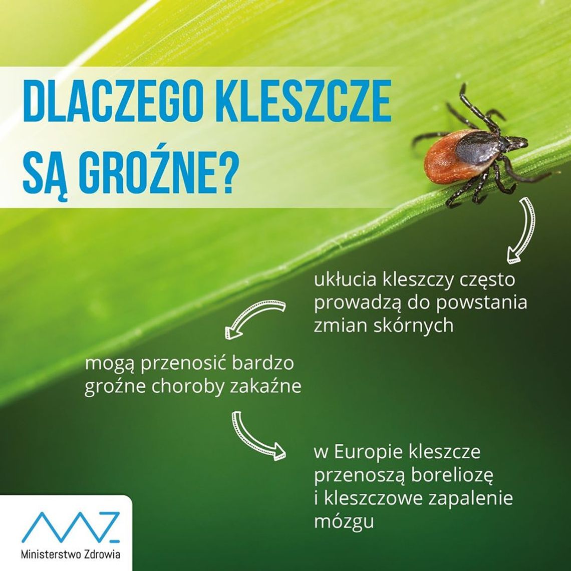 Kleszcze już atakują