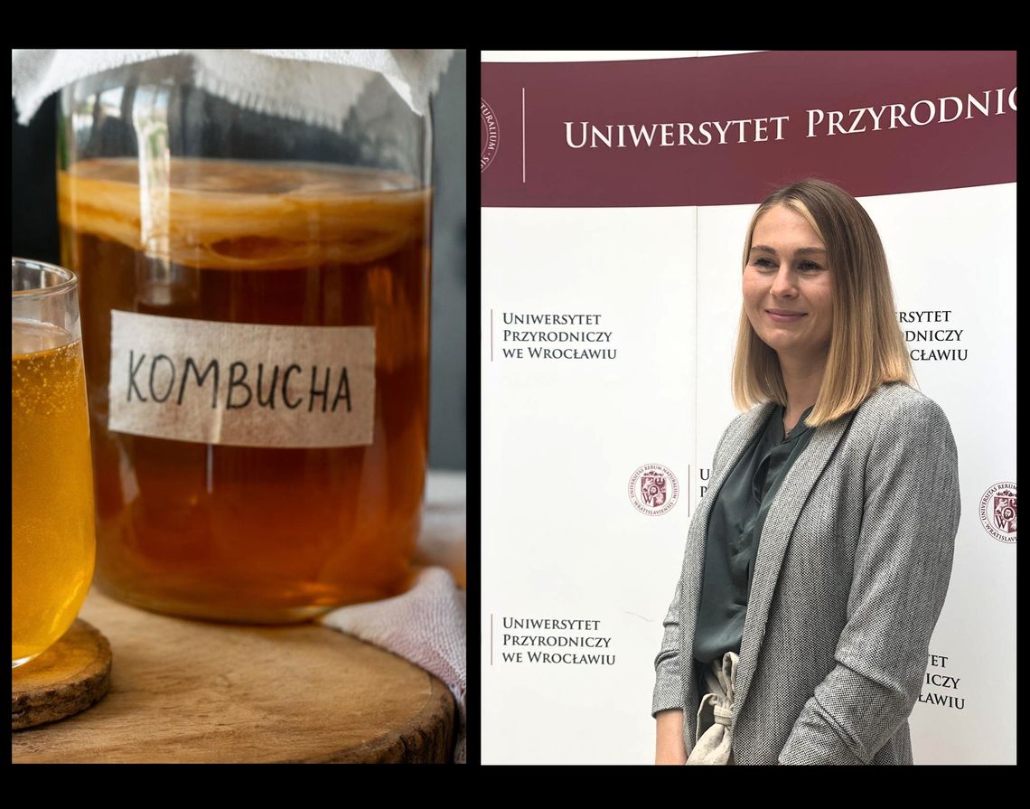 Kombucha jest „zdrowsza” niż myślano Kombucha jest „zdrowsza” niż myślano