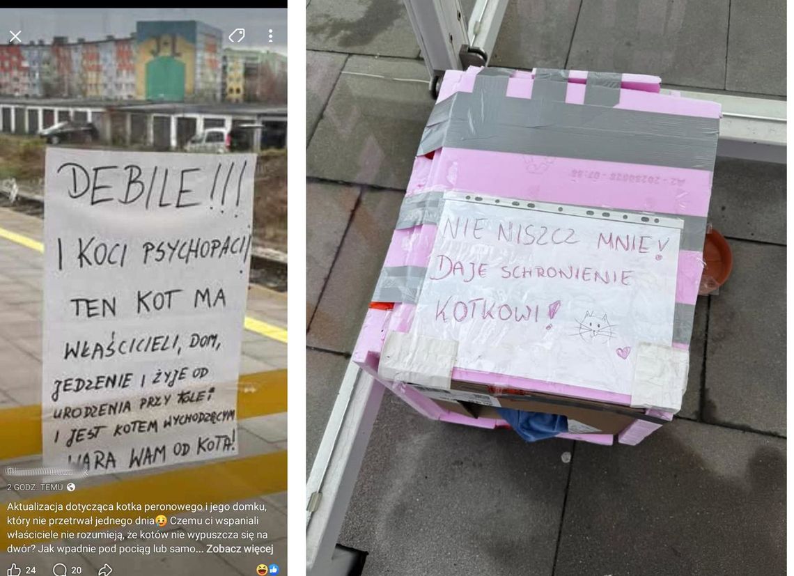 Kotek peronowy miał domek. Jeden dzień...