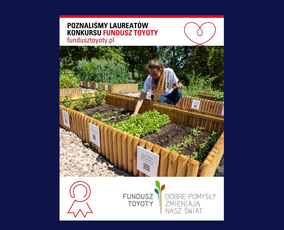 Kto dostanie pieniądze od Toyoty? Czyj projekt bdzie realizowany?