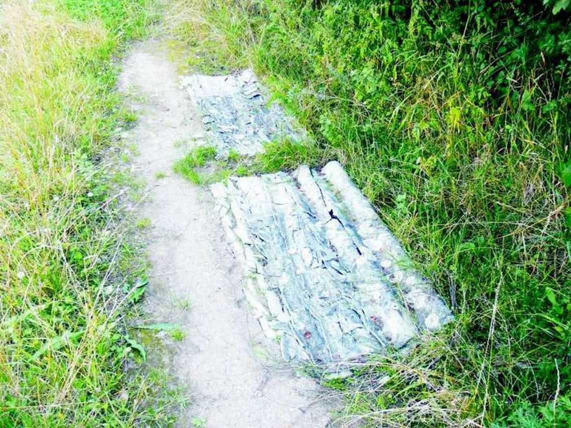 Kto wywiózł gruz do lasu? Kto wywiózł gruz do lasu?