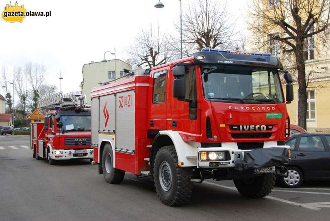 Kurz włączył alarm?