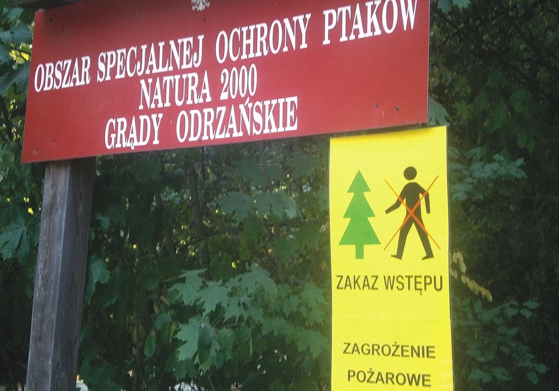 Lasy zagrożone - zakaz wstępu!