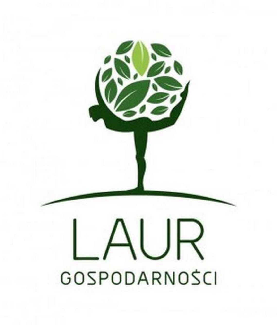 Laur Gospodarności - druga edycja