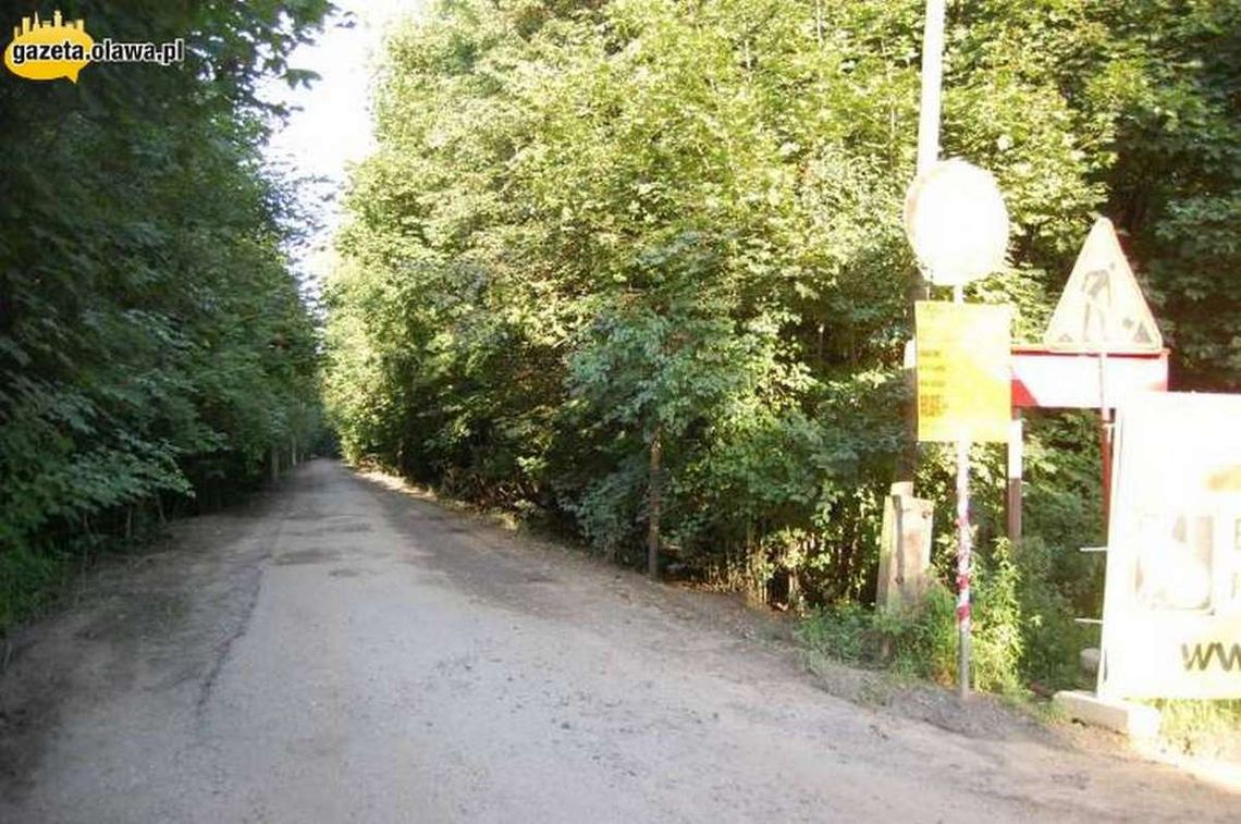 Leśną drogą z Oławy do Bystrzycy