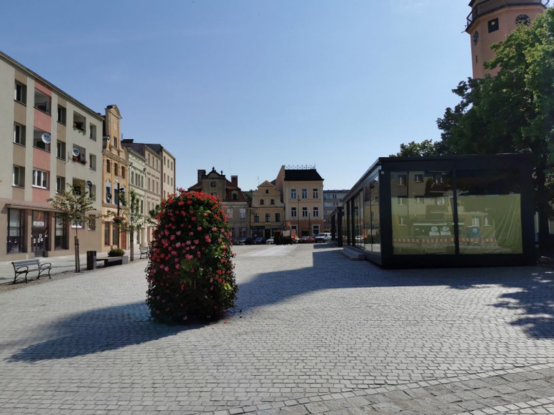 LIST: - Czy przystanek autobusowy i postój TAXI jest potrzebny w Rynku?