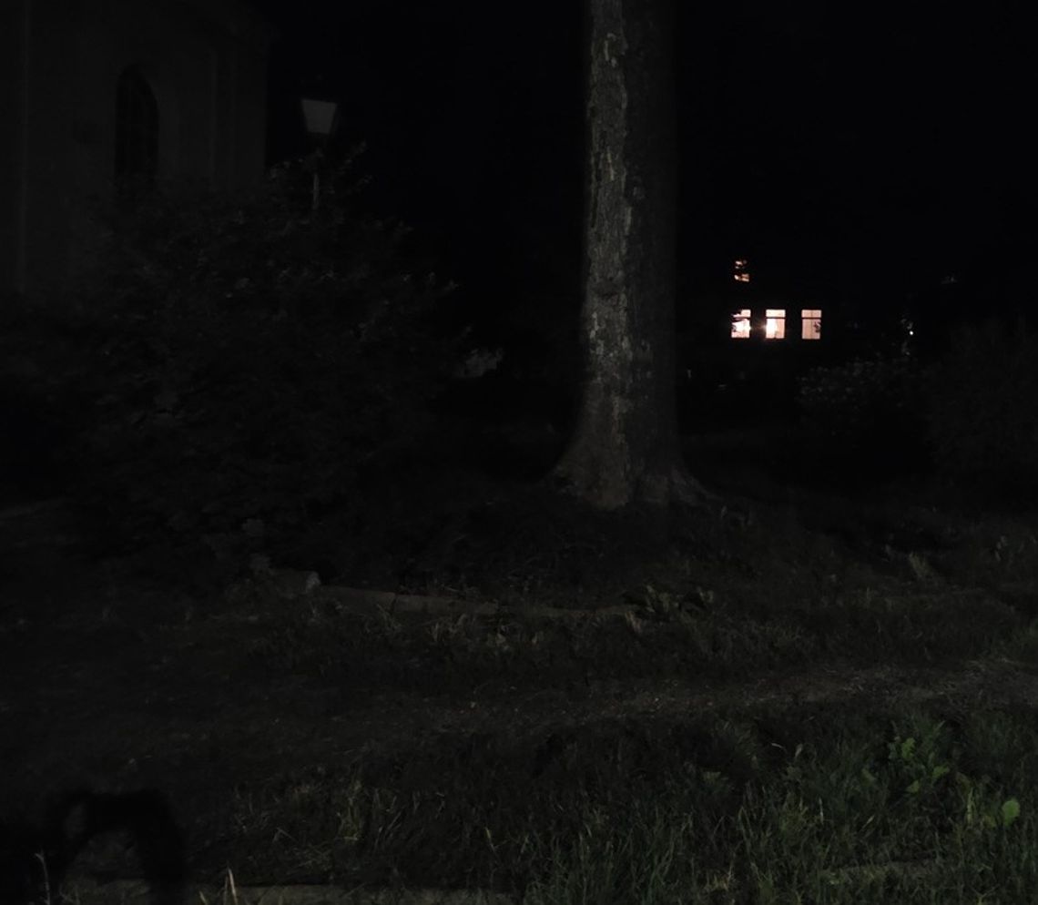 LIST: - Może nie jest to najważniejszy temat dla władzy naszego miasta...