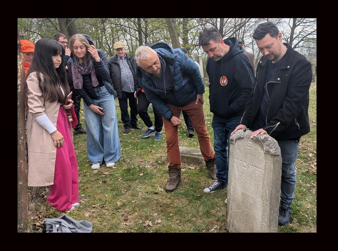 Macewa Moritza wróciła na oławski cmentarz żydowski