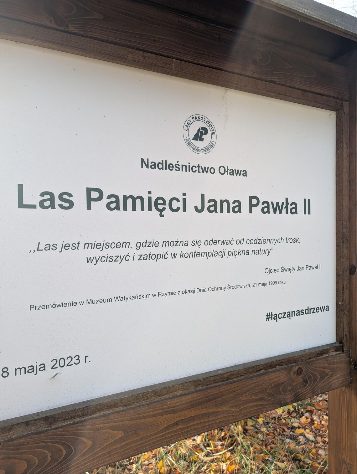 Mamy "Las Pamięci Jana Pawła II". Wiedzieliście?