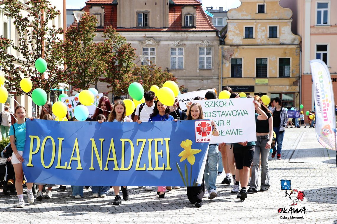 Marsz Żonkilowy w Oławie (GALERIA)