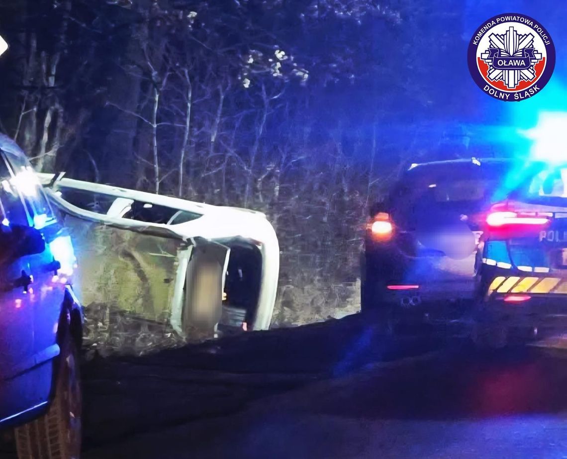 Miał 2 promile alkoholu w organizmie. Wylądował w rowie