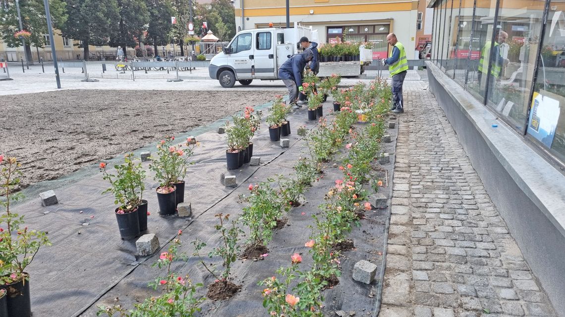 Miały być - i są. Podoba się?