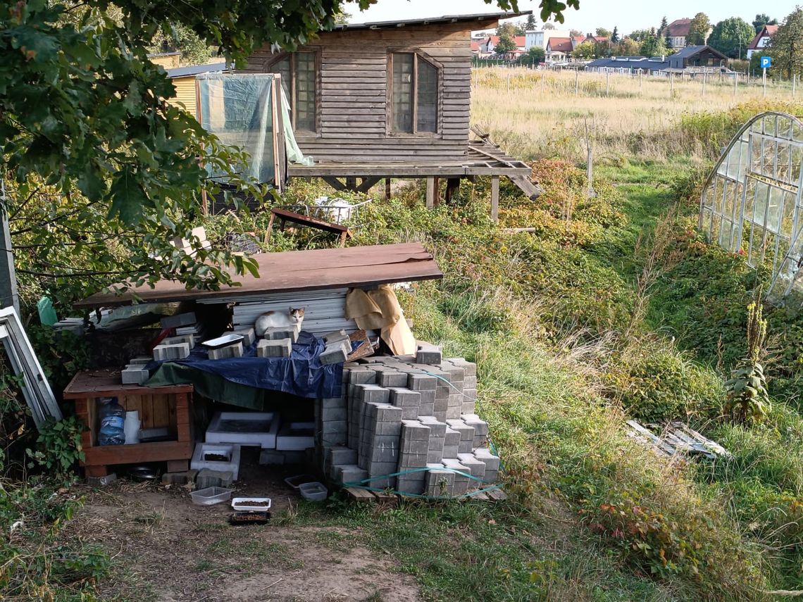 Miały paść się tu konie, a powstało śmietnisko Miały paść się tu konie, a powstało śmietnisko