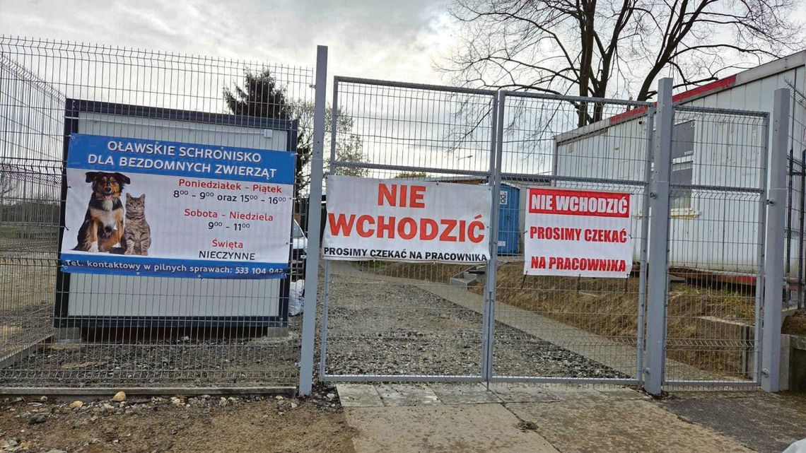 Miesięczny koszt utrzymania jednego zwierzęcia w oławskim schronisku to... 6 tys. zł?