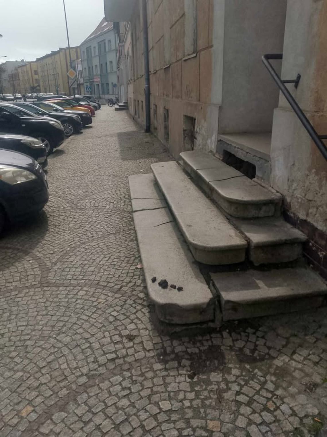 MIESZKANKA OŁAWY: - Sprzątanie po swoim pupilu zajmuje mniej niż minutę