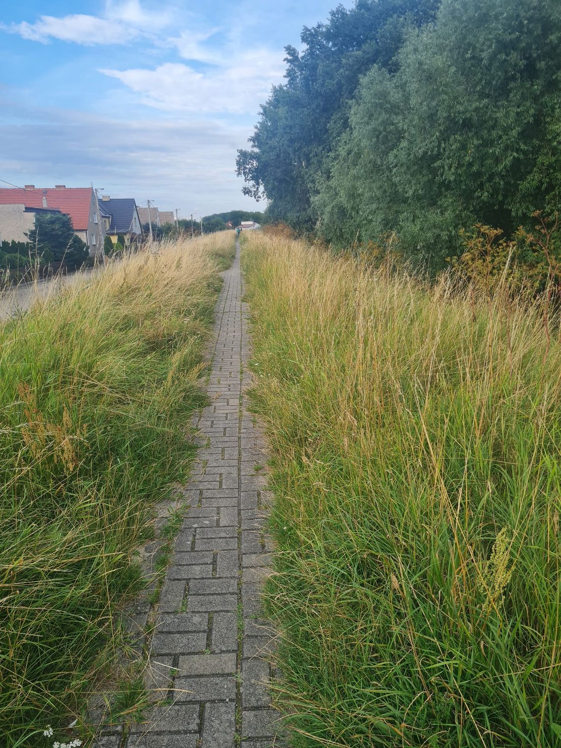 MINUS za tę ścieżkę rowerową