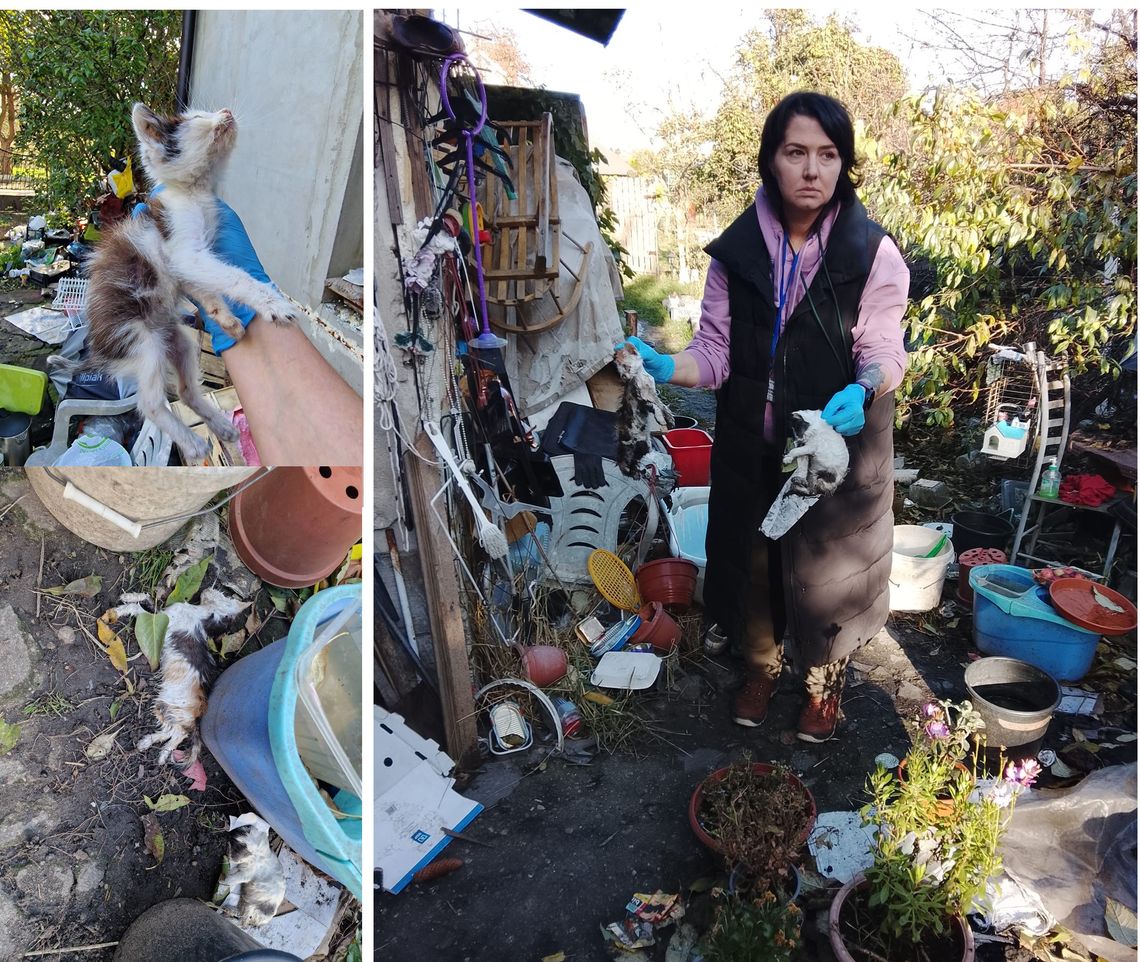 Myślały, że to będzie zwykła, interwencja... Myślały, że to będzie zwykła, interwencja...