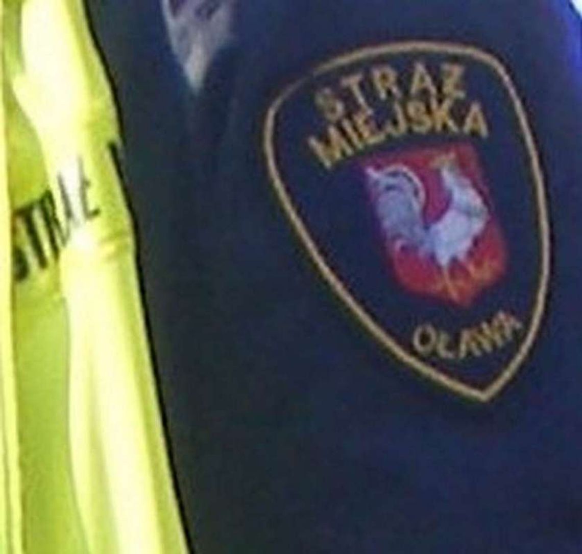 Na krytyce się kończy? Na krytyce się kończy?