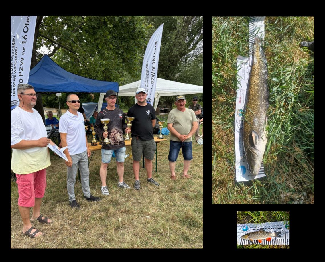 Największy był sum - miał 130 centymetrów