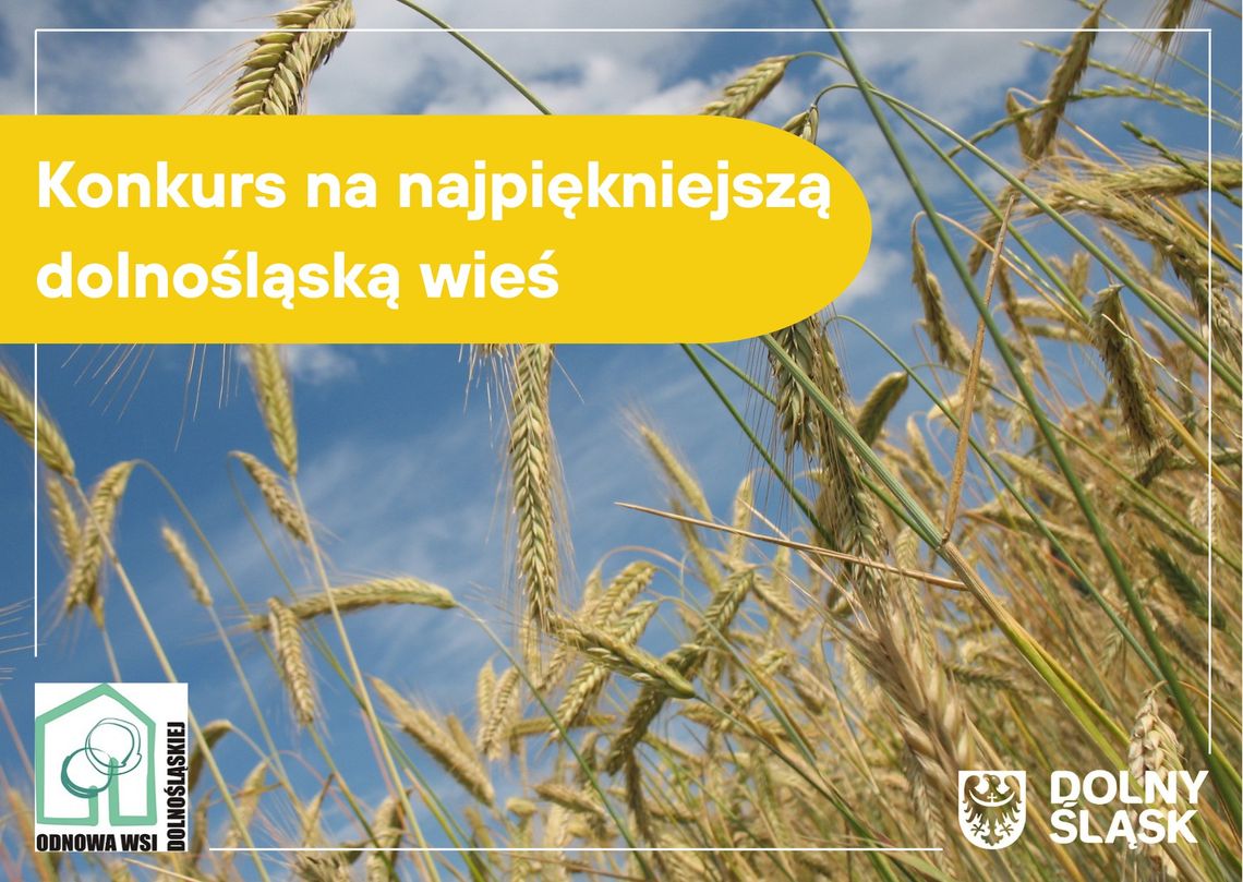 Nasze wsie podoławskie są najpiękniejsze? Głosujcie!