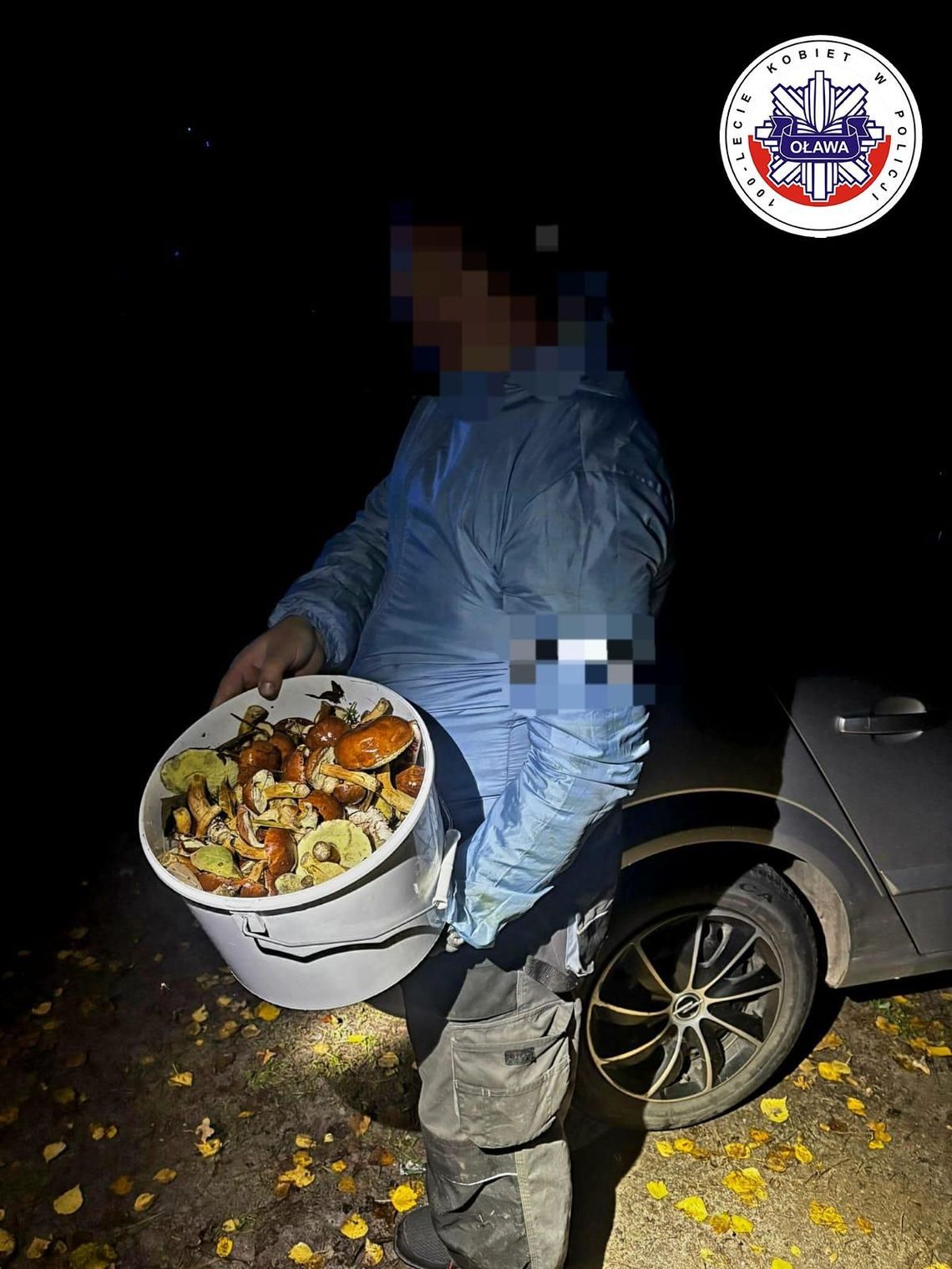 Nazbierał całe wiadro grzybów, ale stracił orientację