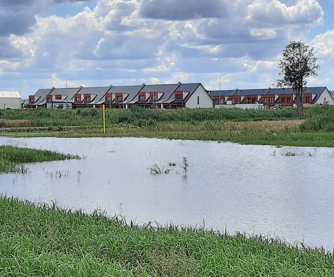 Nic nie zrobią. Rozlewiska Zielonej i komary będą