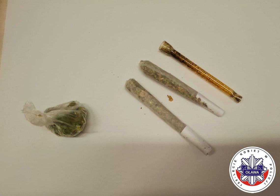 Nie miał prawa jazdy, ale miał narkotyki. 29-latek zatrzymany Nie miał prawa jazdy, ale miał narkotyki. 29-latek zatrzymany