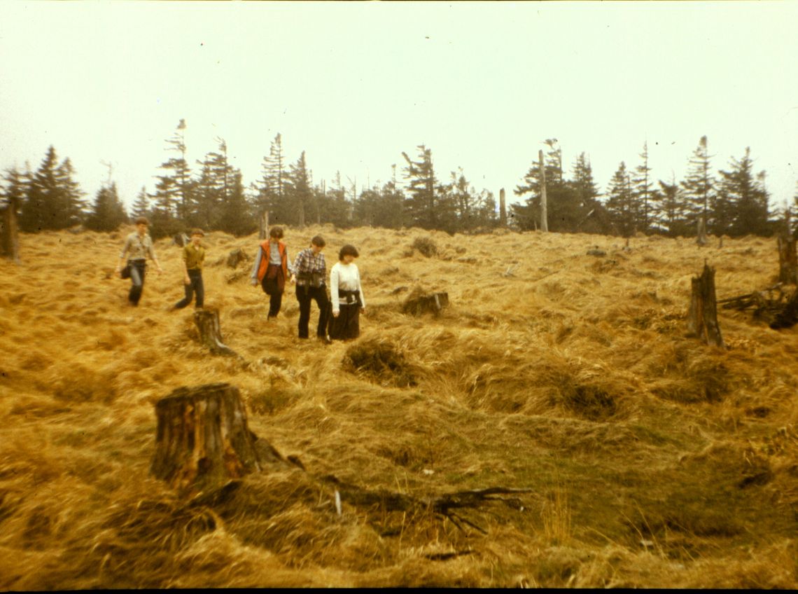 Nie tylko wiedza się liczy. Wspomnienie z LO nr 1