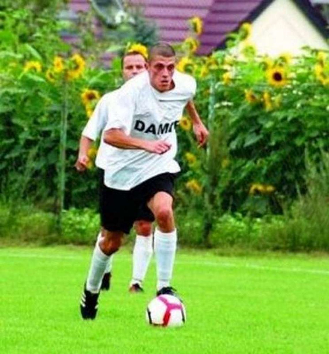 Niemoc Sokoła Niemoc Sokoła