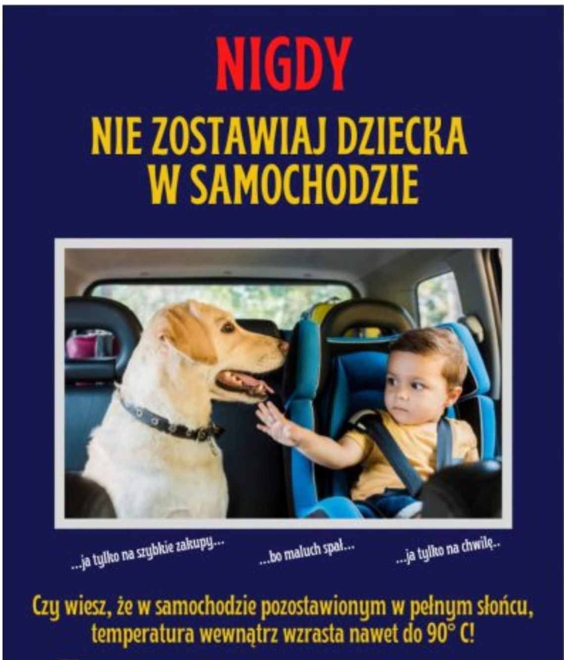 Nigdy nie zostawiaj dzieci i zwierząt w samochodzie!