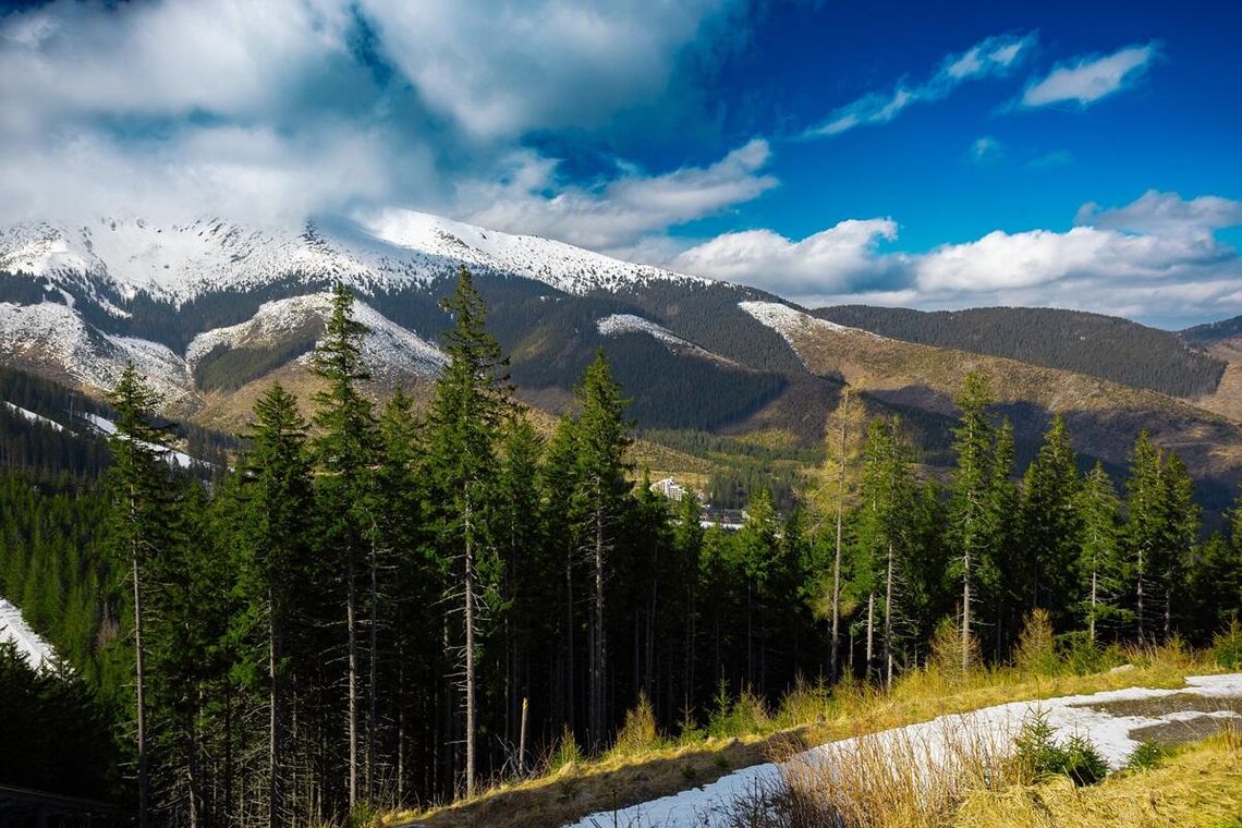 Niskie Tatry dla rodzin – noclegi i atrakcje, które zachwycą dzieci i dorosłych