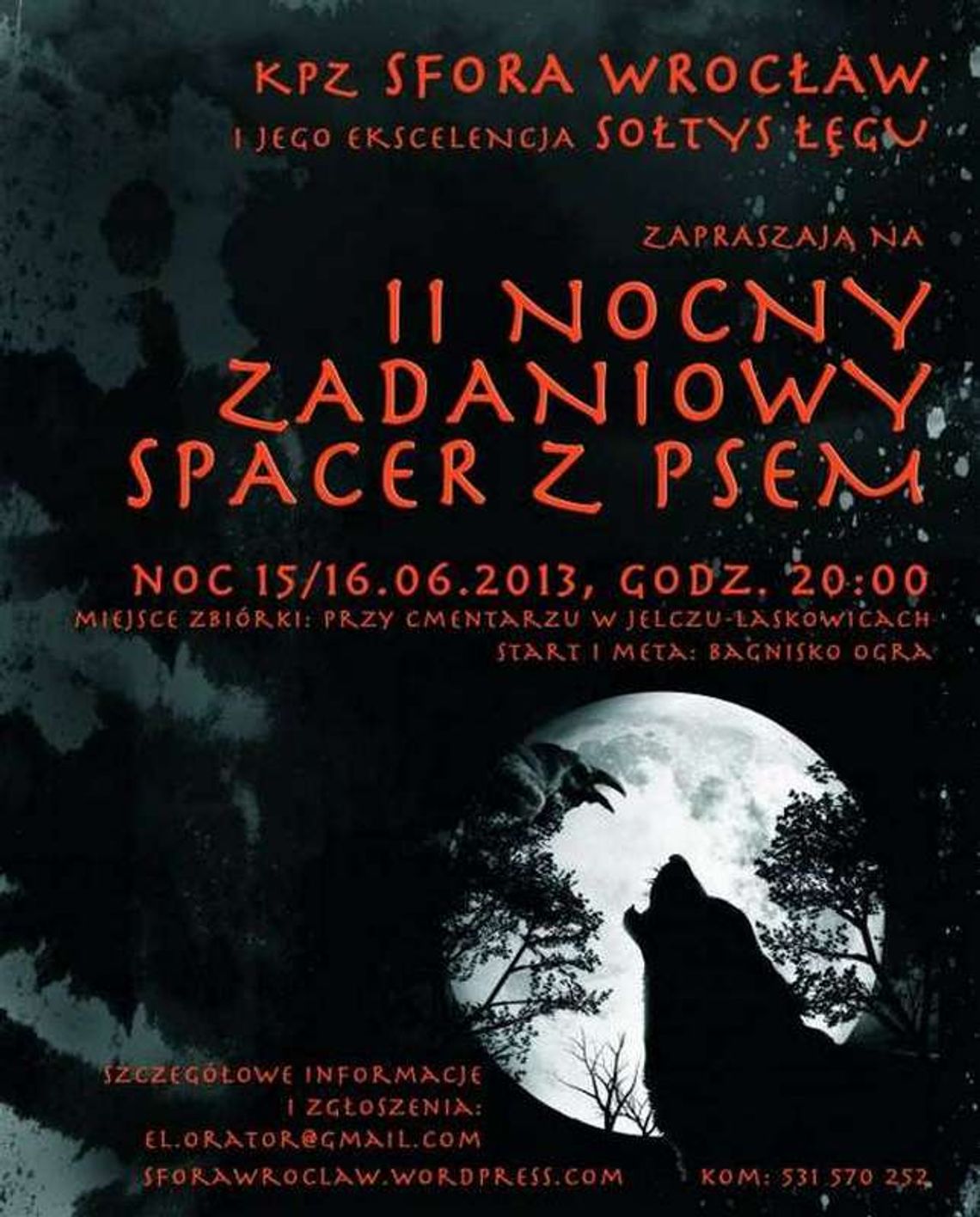 Nocny spacer z psem