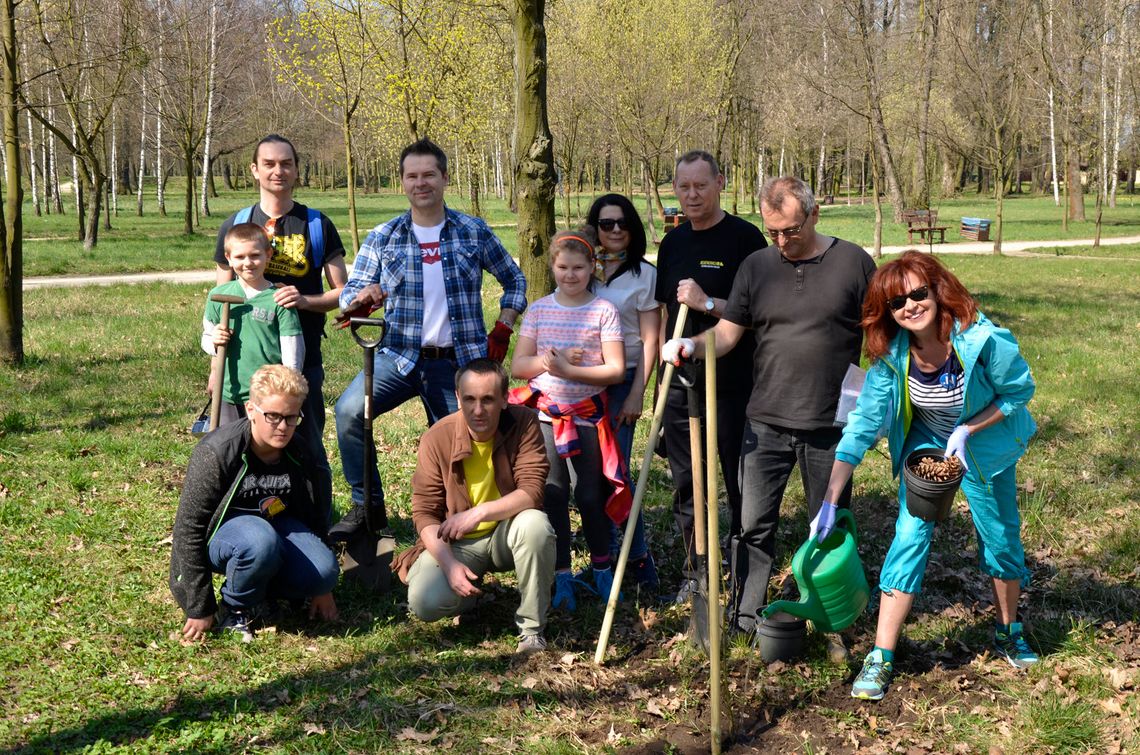 Nowoczesna posadziła drzewa Nowoczesna posadziła drzewa