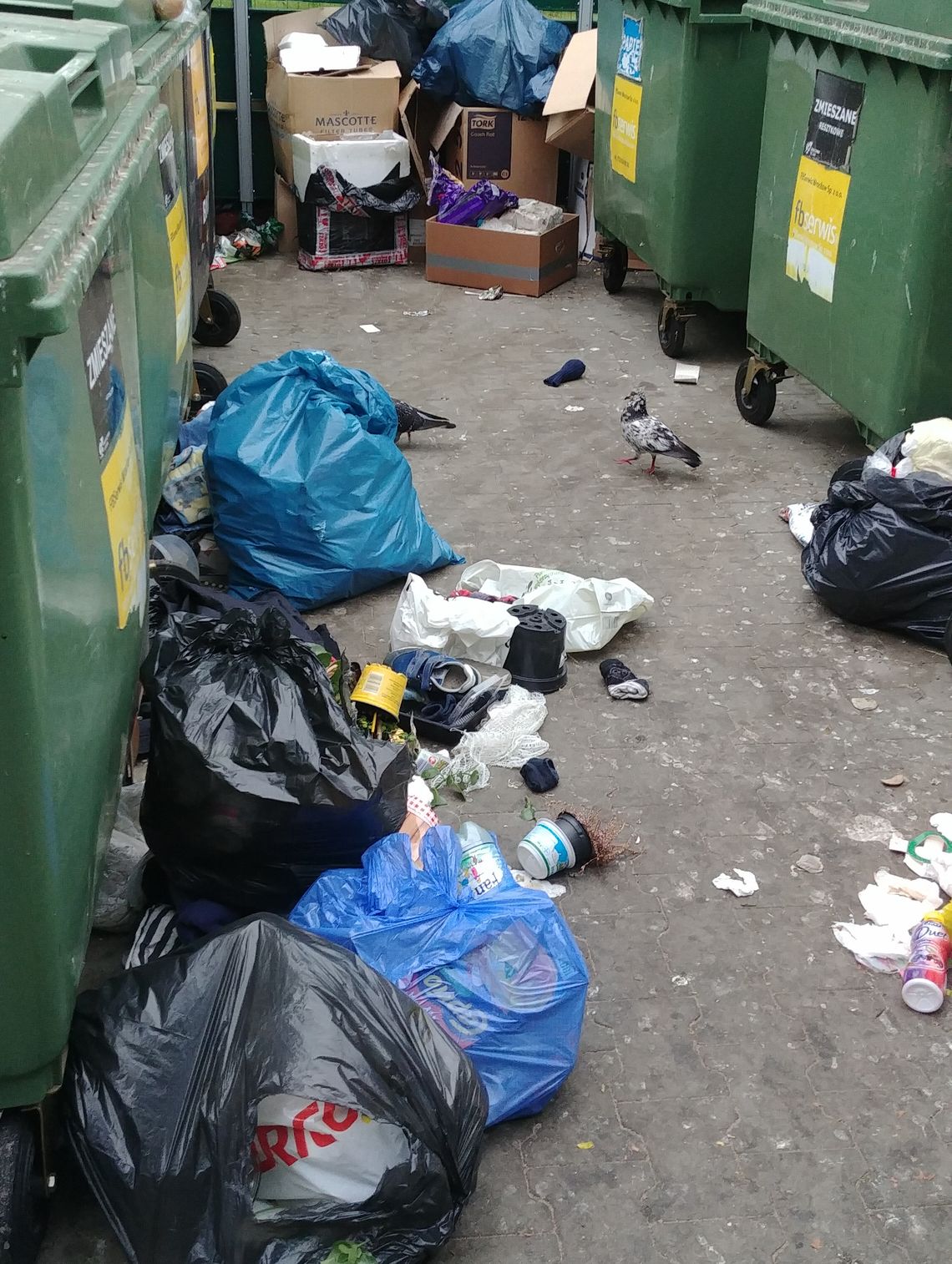 Od stycznia wzrosną opłaty za wywóz śmieci! Od stycznia wzrosną opłaty za wywóz śmieci!