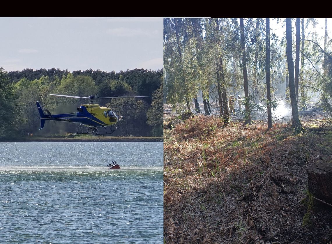 Ogień objął około 20 arów lasu