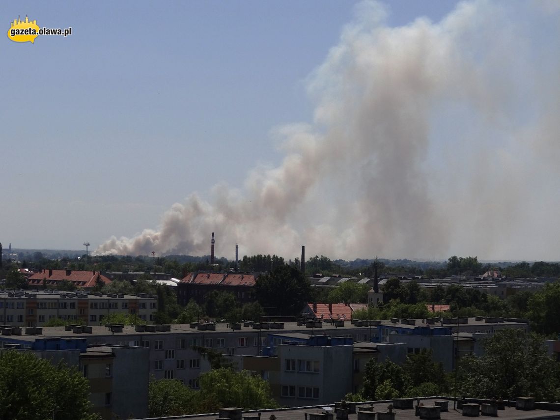 Ogromny pożar pola. ZOBACZ VIDEO