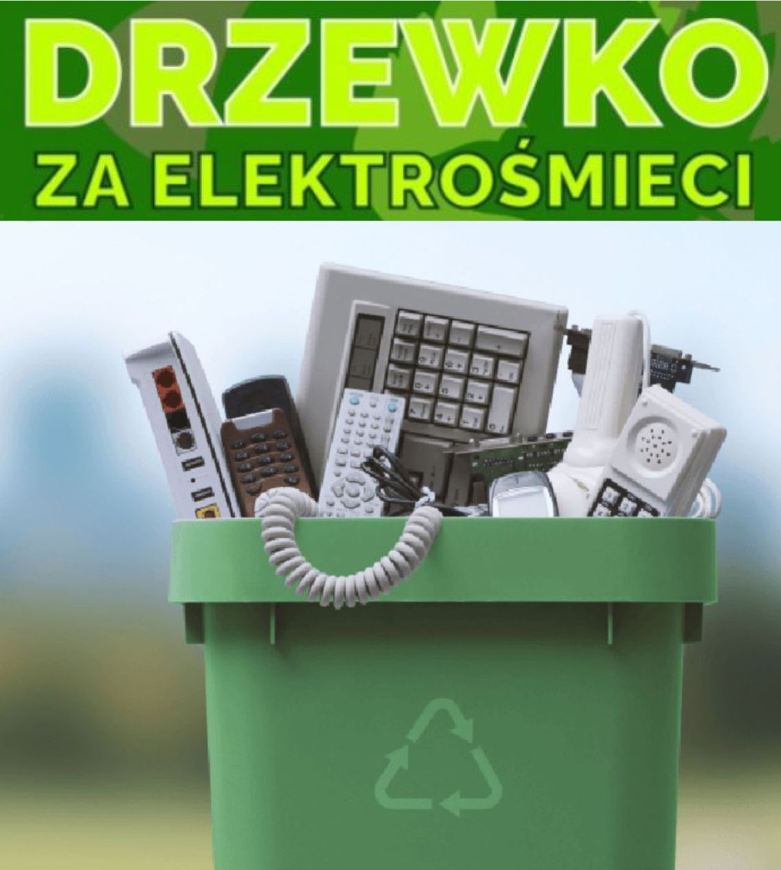 Oława. Drzewko za elektrośmieci. Specjalne stoisko na jarmarku