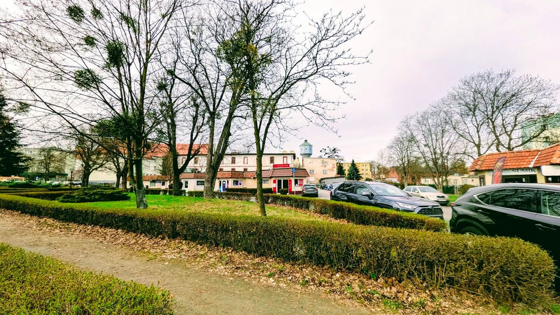 Oława ma od dzisiaj „Skwer imienia księcia Henryka I Brodatego”