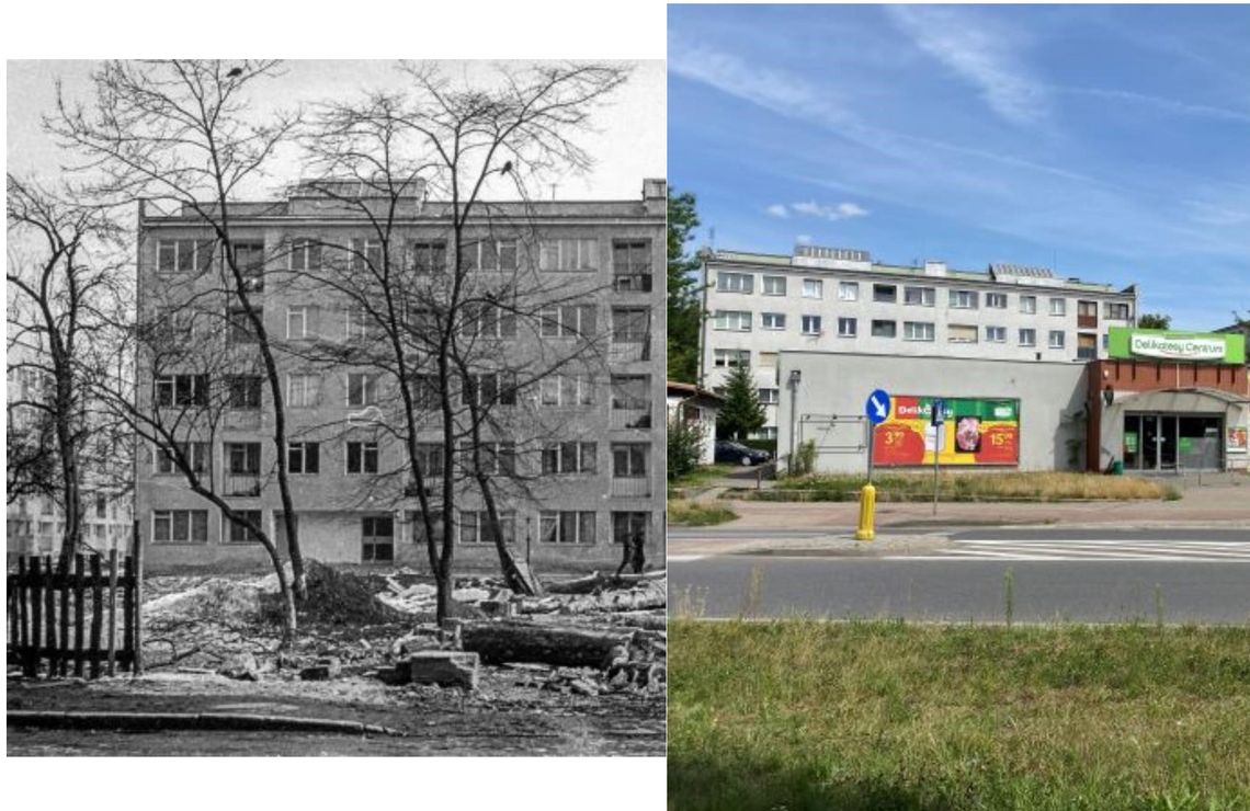 Oława miastem zieleni? - część 2 cyklu Lesława Mazura Oława miastem zieleni? - część 2 cyklu Lesława Mazura