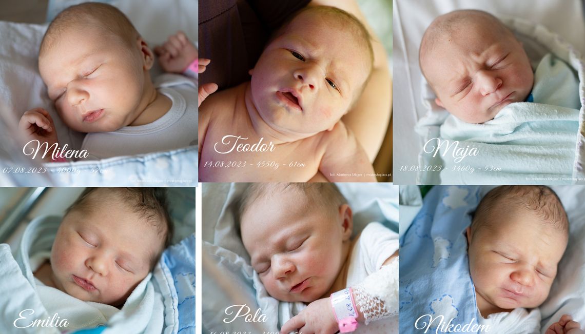 OŁAWA/POWIAT Witamy wśród nas